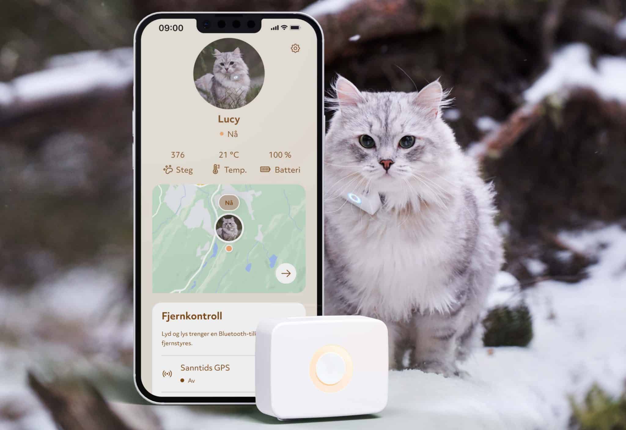 skotsk Krydret kasket GPS til kat - Verdens mindste GPS til kat med global rækkevidde!