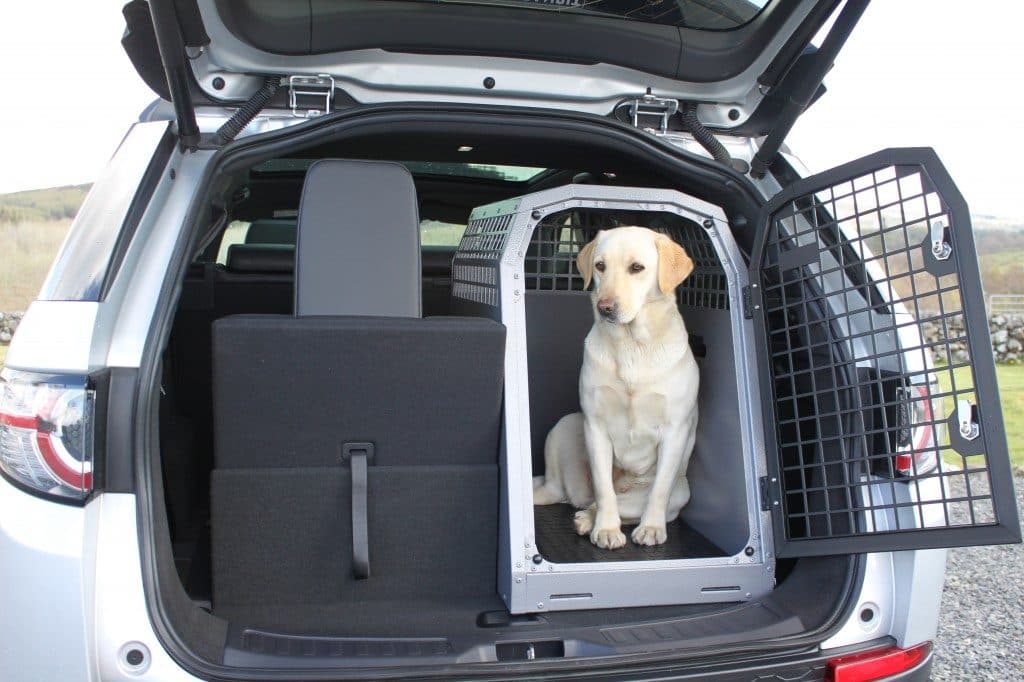 dog crate in car