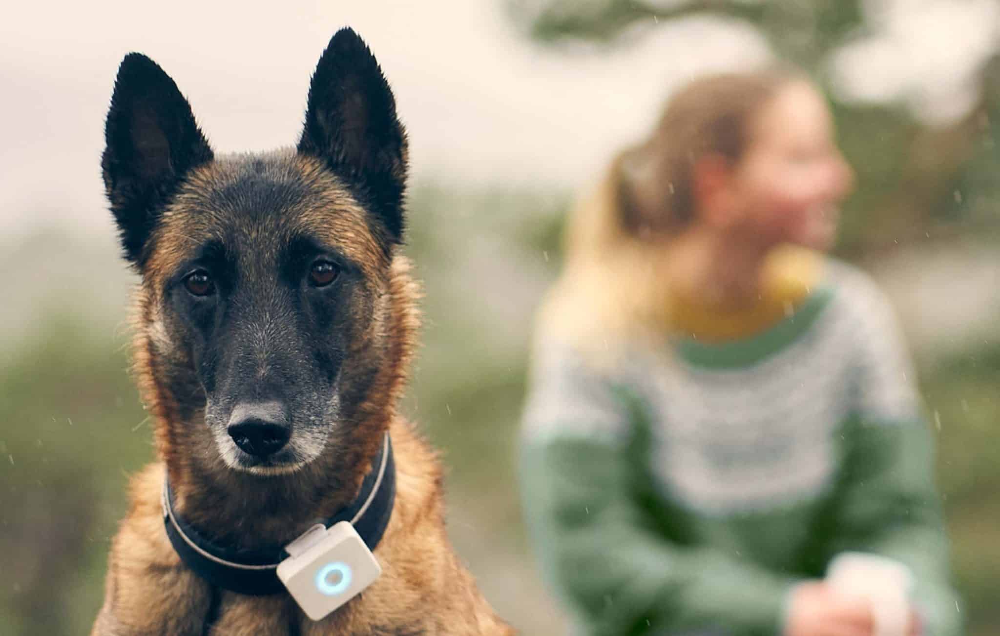 Rodeo Vie amplifikation GPS til hund - Verdens mindste hunde tracker med "Live tracking"