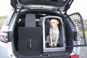 hundebur i bil
