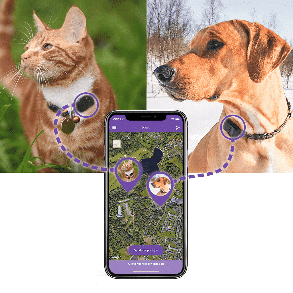 WFIT Pet Tracker Katze Hund GPS-Tracking-Kragen Mit Unbegrenzter Reichweite Wasserdicht Locater Für Tier Schwarz 