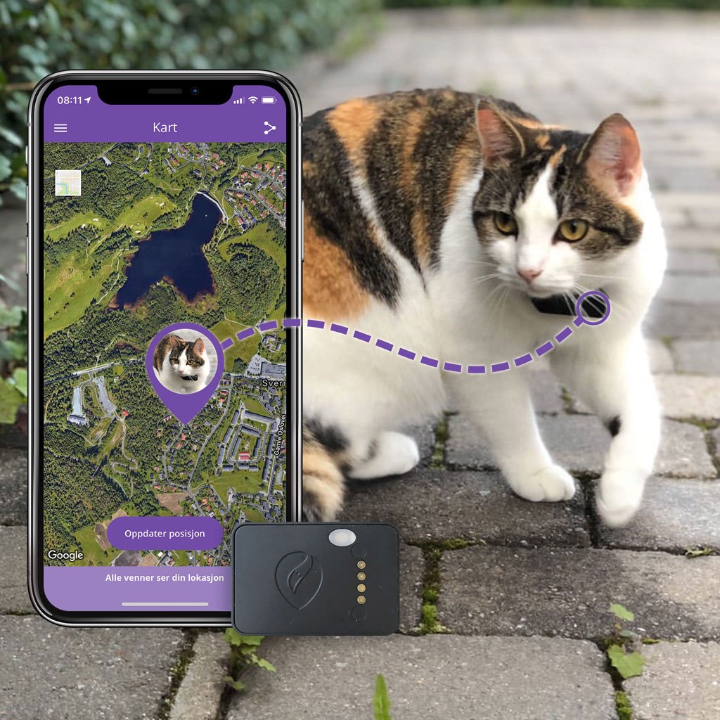 Tail it Cat GPS Worlds smallest cat tracker with FREE global range!